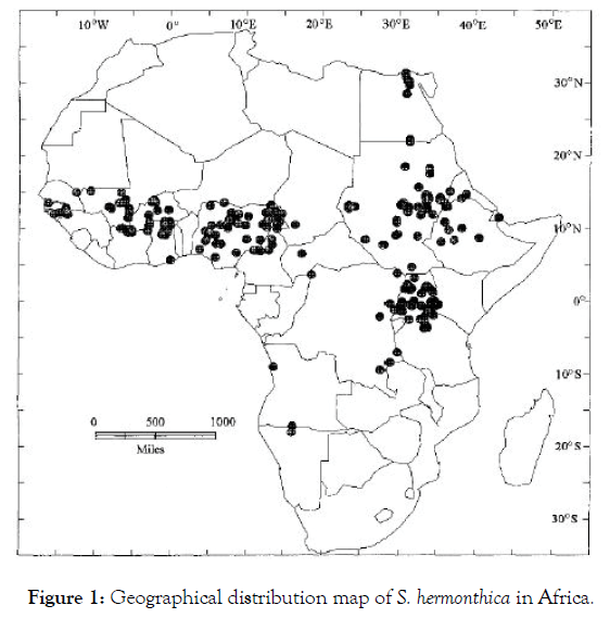 aromatic-plants-geographical-distribution