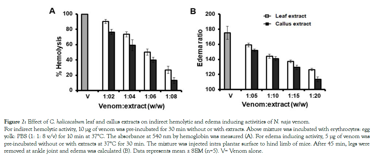 aromatic-plants-hemolytic-activity