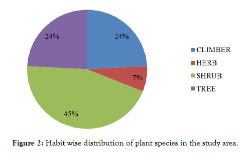 aromatic-plants-plant-species