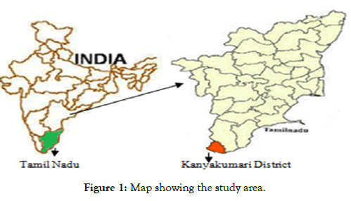 aromatic-plants-study-area