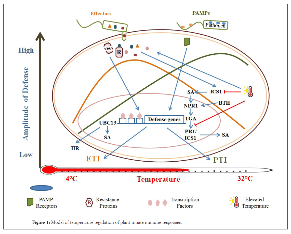 biochemistry-physiology-immune