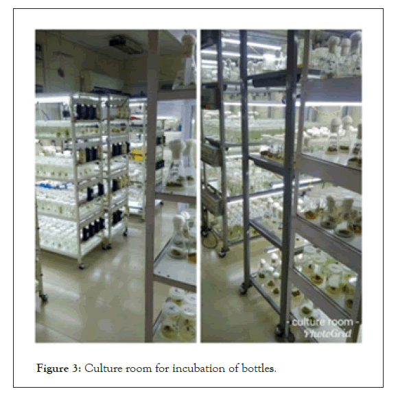 biochemistry-physiology-incubation