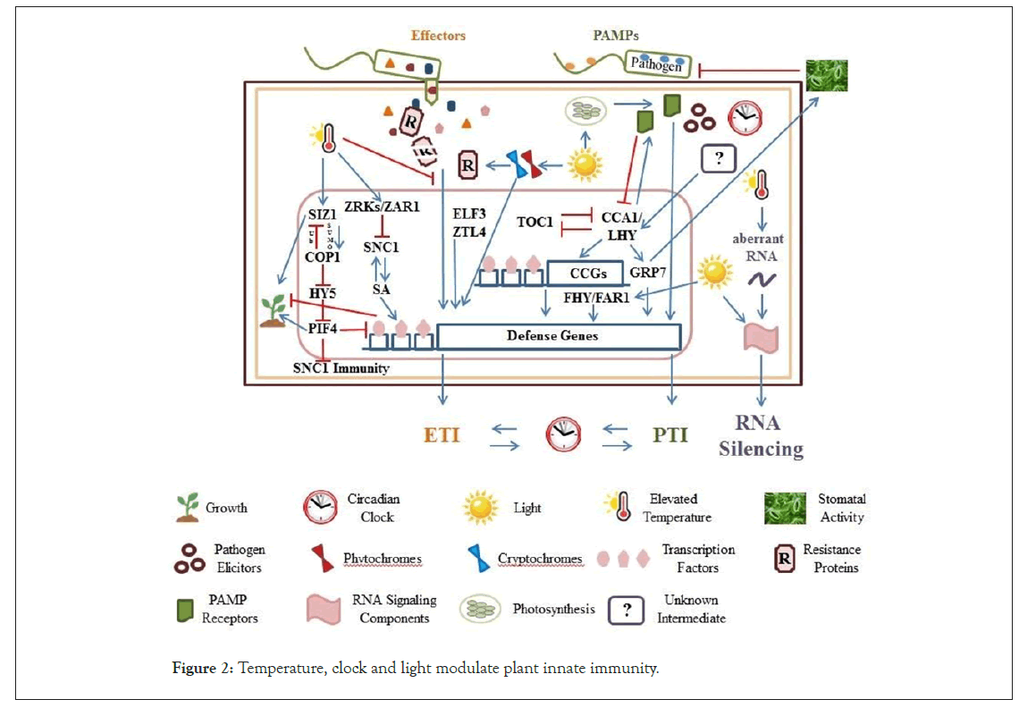 biochemistry-physiology-modulate