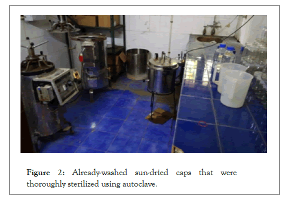 biochemistry-physiology-sterilized