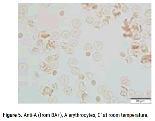 biology-todays-Anti