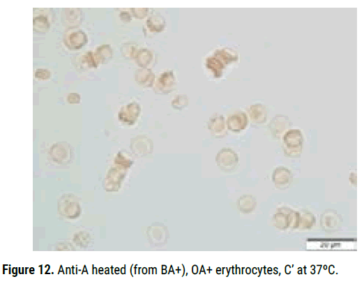 biology-todays-Anti