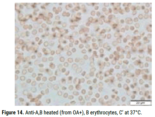 biology-todays-Anti