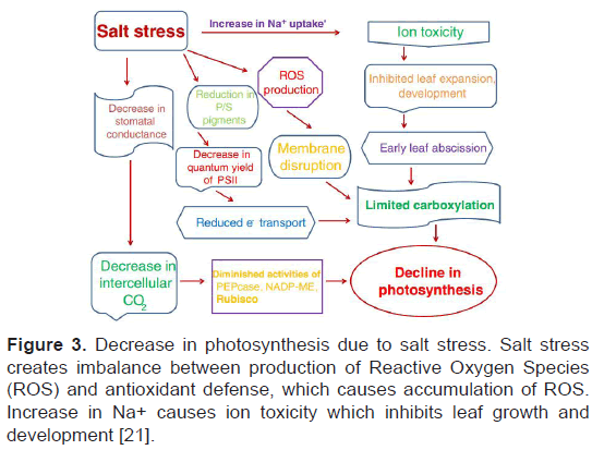 biology-todays-Reactive