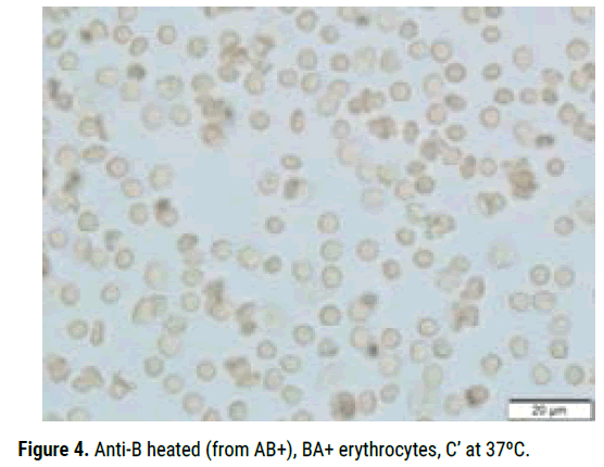 biology-todays-heated