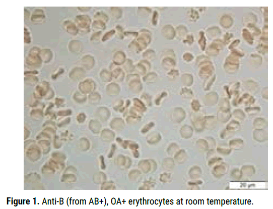 biology-todays-room