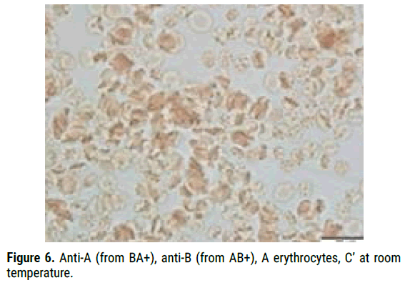 biology-todays-room