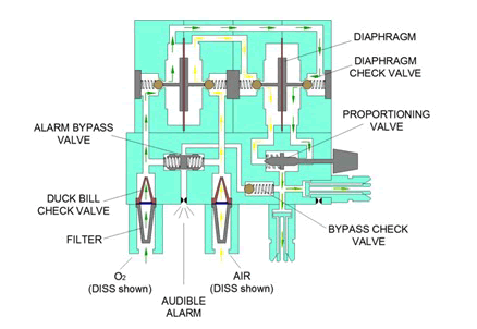 biomedical-engineering