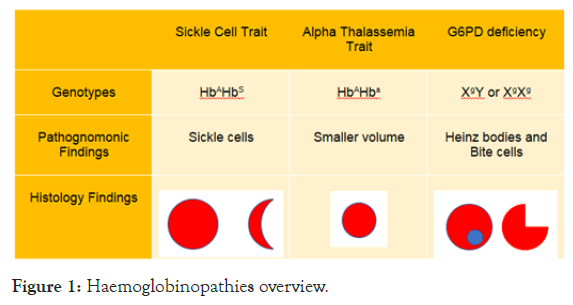 cancer-overview-research