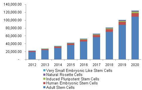 Embryonic Vs Adult Stem Cell Research