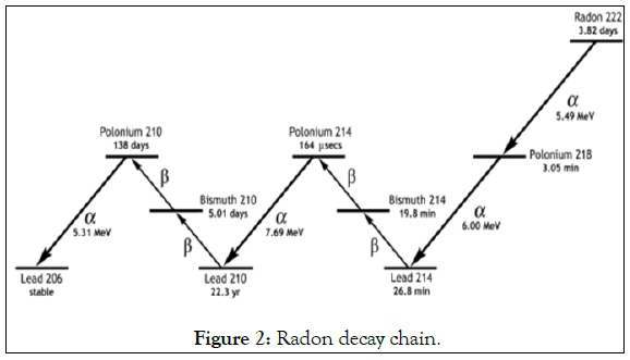 chemistry-biophysics-decay