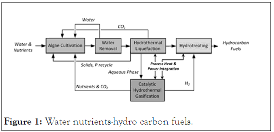 chemistry-biophysics-nutrients