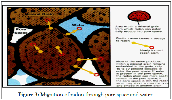 chemistry-biophysics-radon