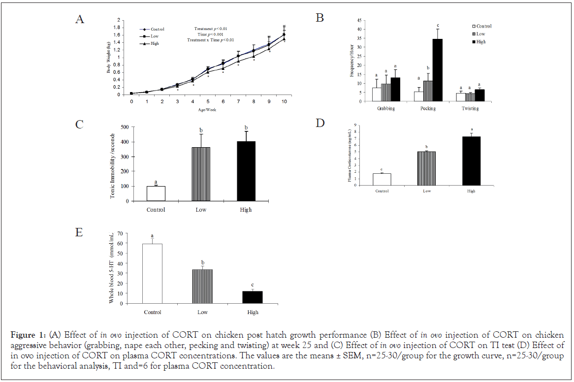 clinical-cellular-CORT