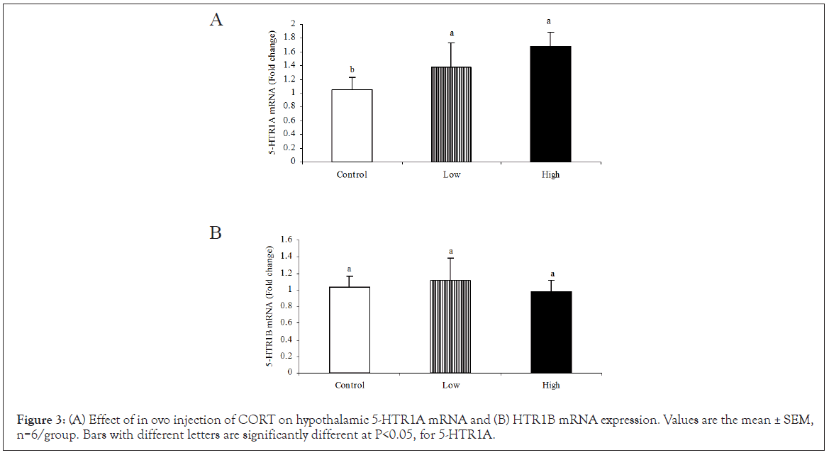 clinical-cellular-expression