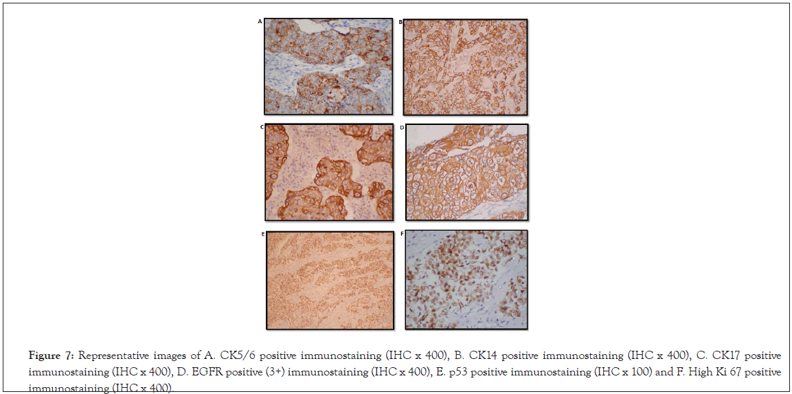 immunostaining