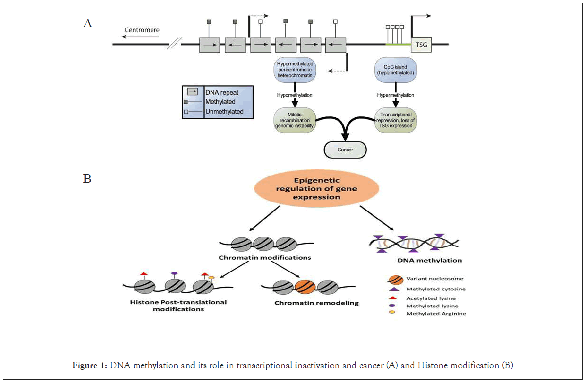 clinical-cellular-inactivation