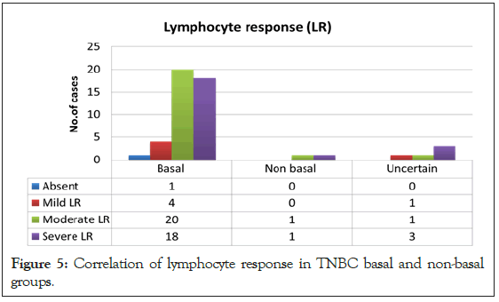 lymphocyte