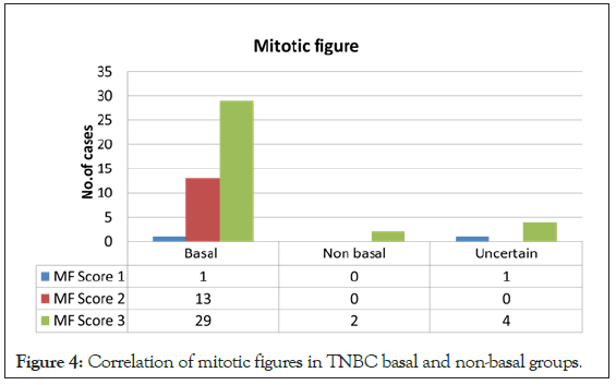 mitotic