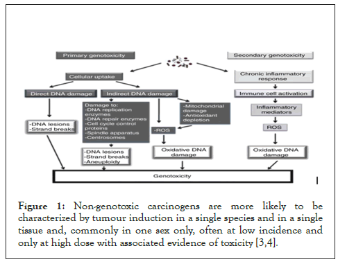 clinical-toxicology-carcinogens