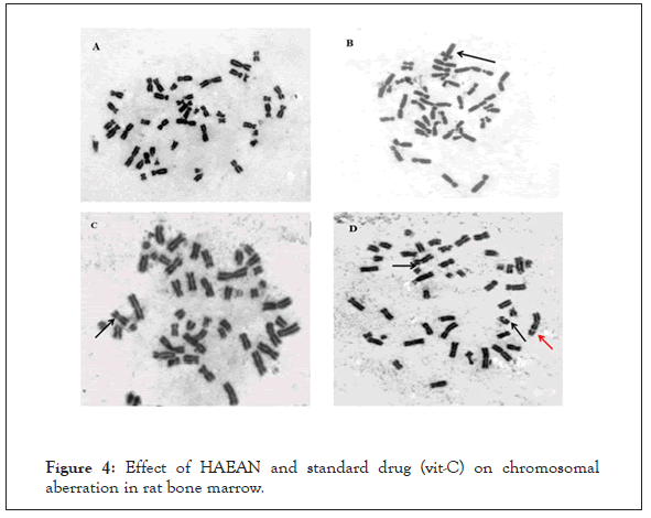 clinical-toxicology-chromosomal