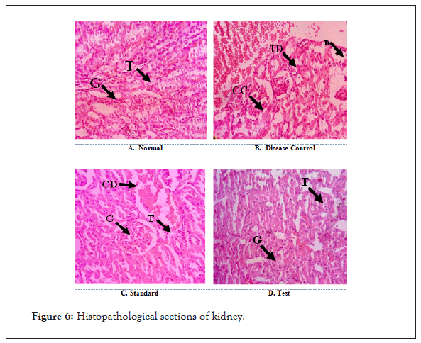 clinical-toxicology-histopathological