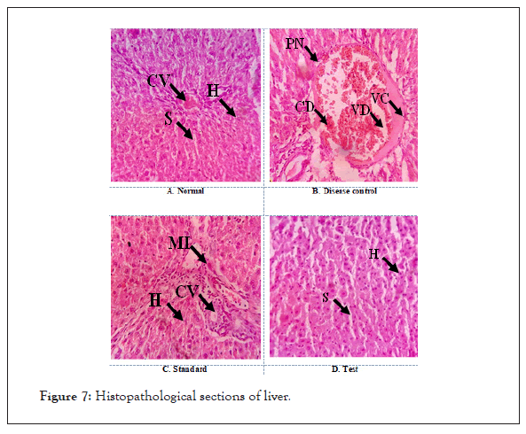 clinical-toxicology-liver