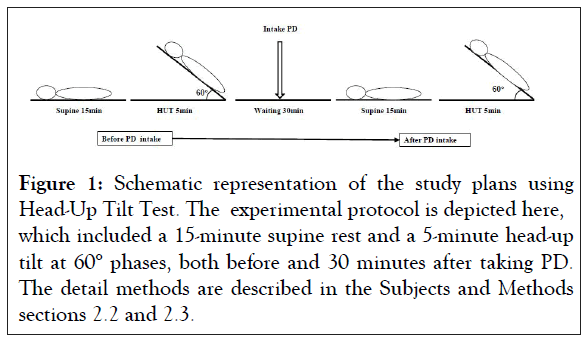 Study protocol for head-up tilt test (HUT).