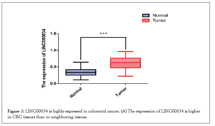 clinical-trials-colorectal