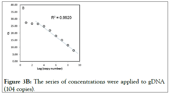 concentrations