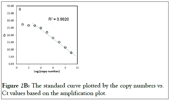 curve