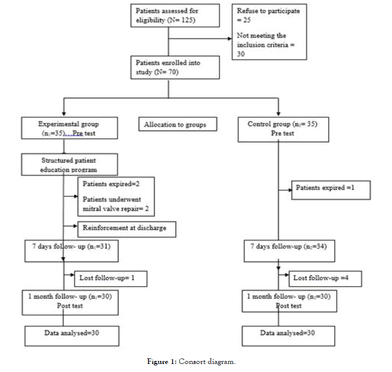 critical-intesive-care-nursing-consort-diagram