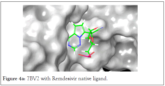 drug-designing-7BV2