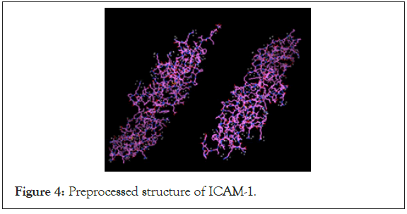 drug-designing-ICAM