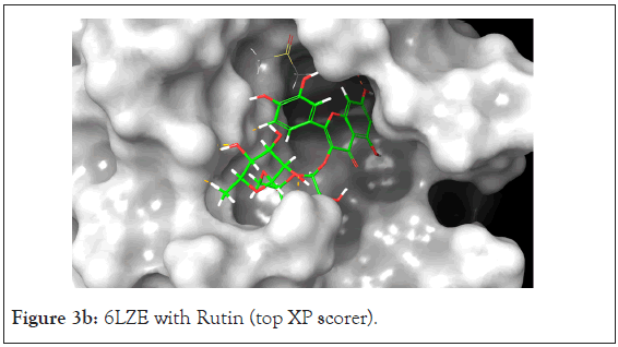 drug-designing-Rutin