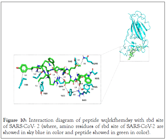 drug-designing-SARS