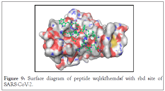 drug-designing-Surface