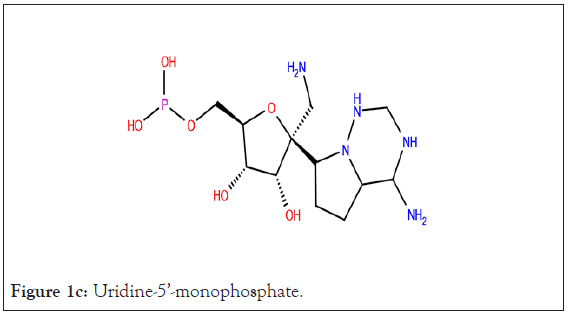 drug-designing-Uridine