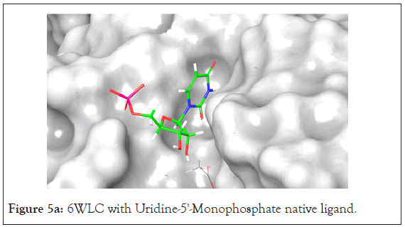 drug-designing-Uridine