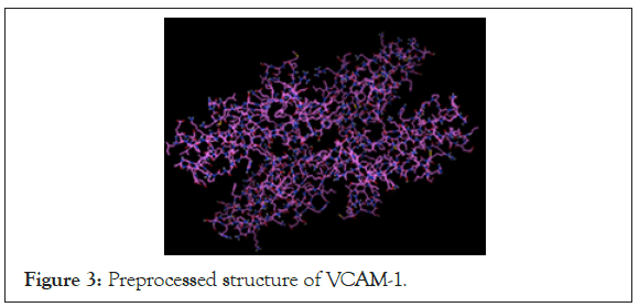 drug-designing-VCAM