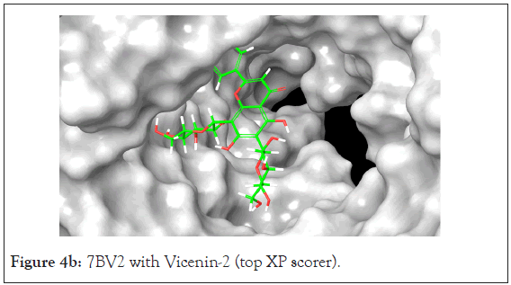 drug-designing-Vicenin