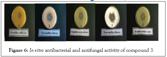 drug-designing-antibacterial