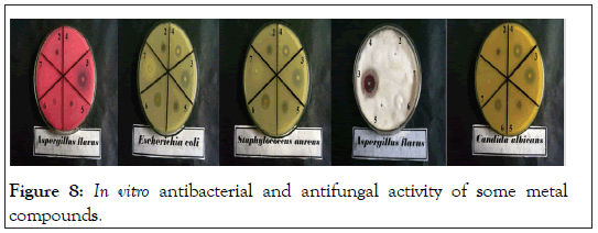 drug-designing-antibacterial