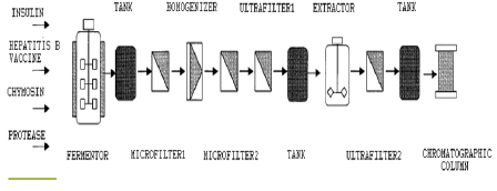 drug-designing-batch