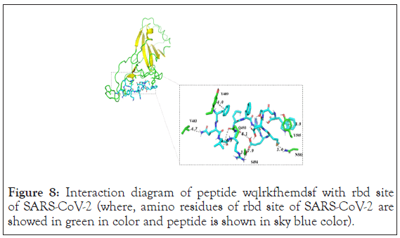 drug-designing-color