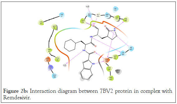 drug-designing-complex